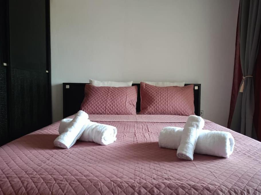 Layla Home Alexandrpoupolis 亚历山德鲁波利斯 外观 照片
