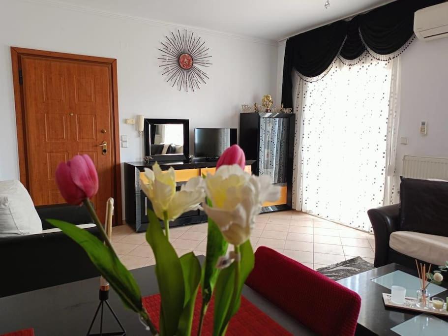 Layla Home Alexandrpoupolis 亚历山德鲁波利斯 外观 照片
